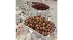 نمونه مراسم