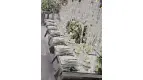 نمونه مراسم