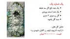 نمونه مراسم