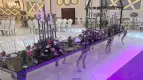 نمونه مراسم
