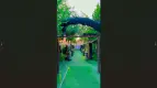 نمونه مراسم