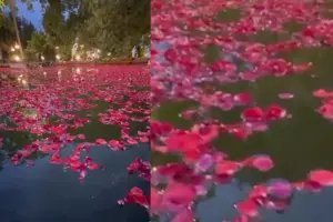  نمای برکه ی باغ عمارت اکبری