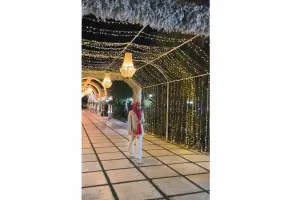  معرفی تالار آریل